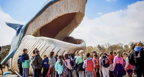 Ocean Park Władysławowo