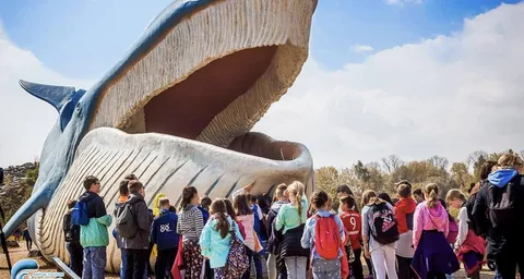 Ocean Park Władysławowo